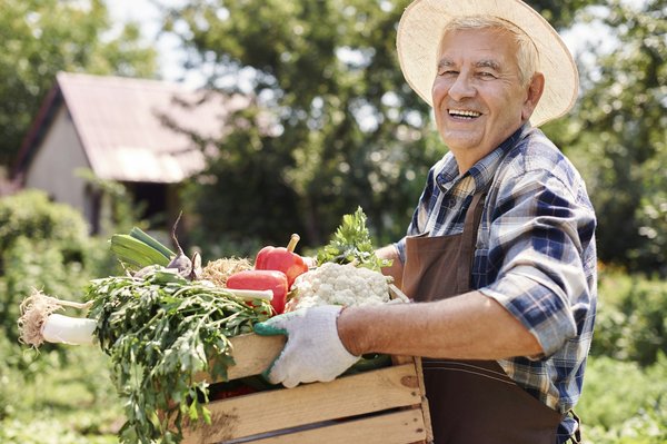 Les avantages insoupçonnés de la stérilisation efficace